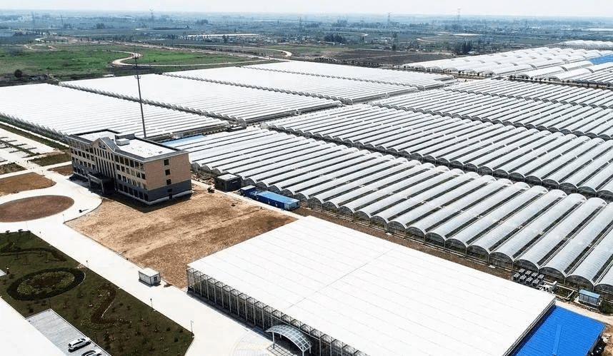 中央一号文件明确指出：2023年设施农业这样干！(图2)